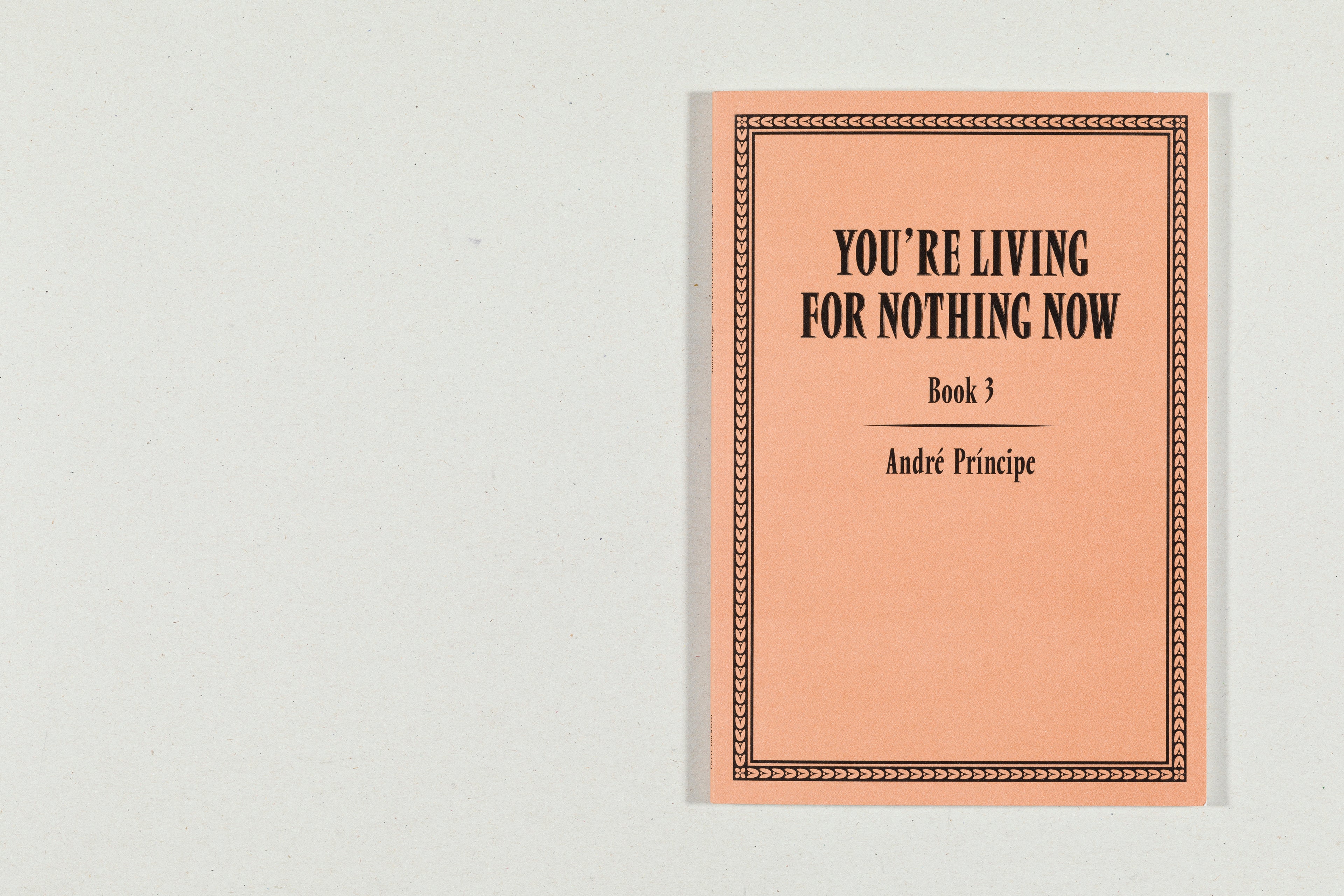 YOU'RE LIVING FOR NOTHING NOW (BOOK 1, 2, 3)<br>André Príncipe